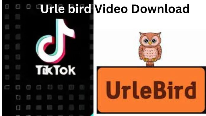 Urle bird Video Download